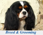 Breed and Grooming