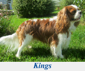 Kings