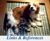Links and References