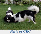 Party of the Cavaliers King Charles