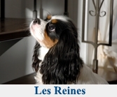 Les reines